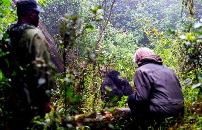 2-days-rwanda-gorilla-trekking-tour